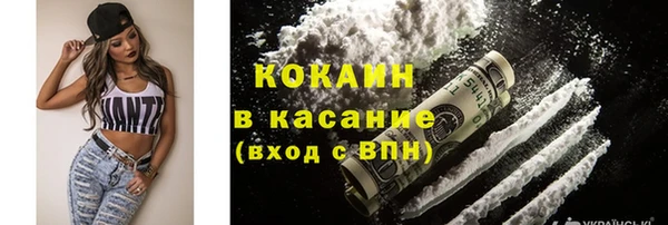 дмт Дмитров