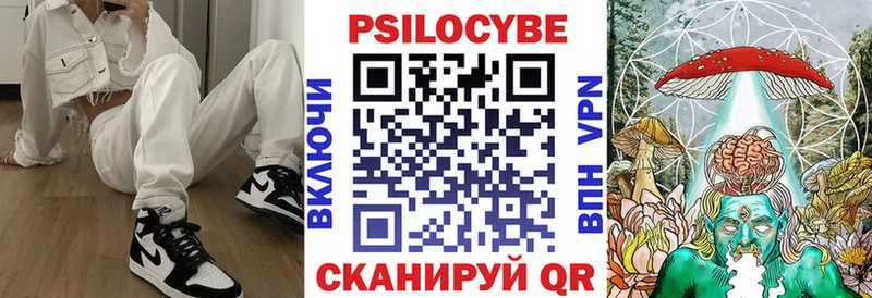 Галлюциногенные грибы Cubensis Салехард